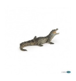 50137-bebe-crocodile