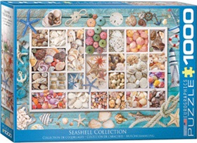 6000-5529-seashells